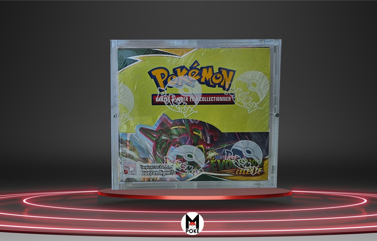 protection display SP